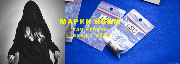 индика Белокуриха