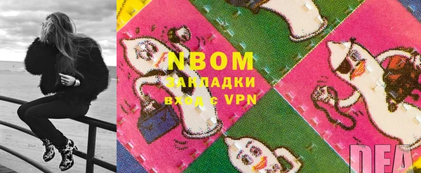 индика Белокуриха