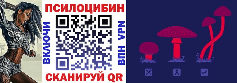 даркнет как зайти  Верея  Псилоцибиновые грибы прущие грибы  купить закладку 